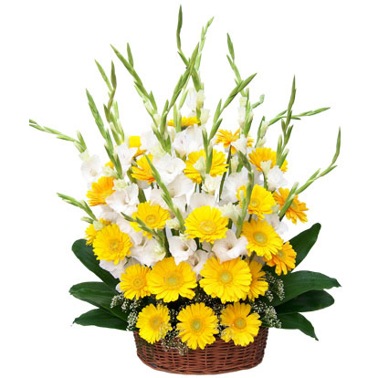 24 gerberas gladioli basket.